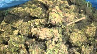 7 Months Marijuana Compilation