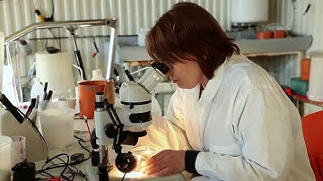 I-Tech video about biofouling