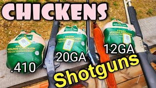 Shotgun Slugs vs Chickens .410 20 Gauge 12 Gauge screenshot 2