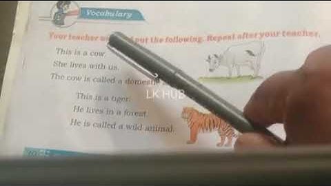 Tha Loyal Mongoose#3rd class lesson ap state syllabus # vocabulary and activities