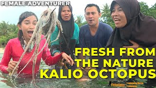 Wanita Petualang Berburu Gurita di Pantai Krui, Lampung.