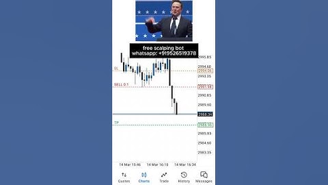 AI Trading Bot | #E16