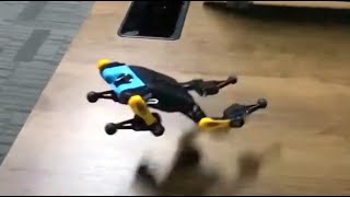 Bittle the Backflipping Robot Dog | Open Source Quadruped Robotics Kit | PetoiCamp