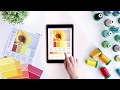 The Color Catalog - 250 Color Palettes in Your Pocket