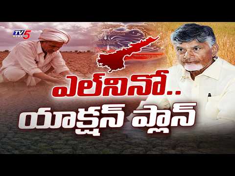 CM Chandrababu' Action Plan To Combat Severe EL Nino Weather Conditions | Crop Insurance | TV5 News - TV5NEWS