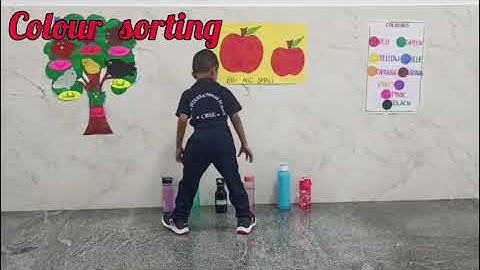 Skill Development Day Activities🤹 - 26.11.2025 (Wednesday) THE CUDDLE CUB (pre kg)