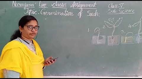 13b  METROS CLASS V SCIENCE ASSIGNMENT VIDEO DAY 7