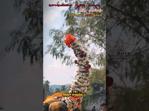 Vaniyambadi Super Star Otha Komban Happy Birthday Thalaiva Jallikattu Vellore Eruthukattu Editing 