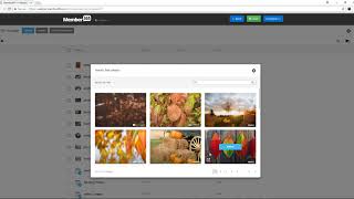 Member365's New Emarking Beta Webinar with Kat screenshot 2