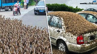 Hayatınızda İlk Defa Göreceğiniz 9 Şey