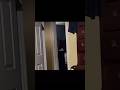 very Crepy clips in last Seen 🎧🤯#trending #horrorstories #horror #ytshorts #yt #youtubeshort