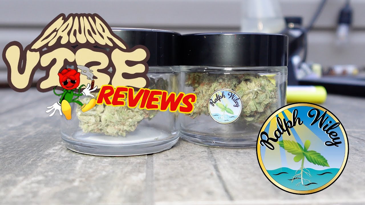 CVP VLOG - WEED REVIEW #10 Ralph Wiley (ORANGE PUSH POP & LA BEATNIK)