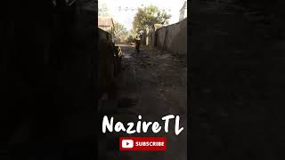 OH YOUR GONNA GET IT NOW (Hunt Showdown 1896)
follow me on Twitter ► https://twitter.com/Nazire_TL
follow me on Tiktok ► https://www.tiktok.com/@naziretl
follow me on Twitch ► https://www.twitch.tv/naziretl
END CREDIT
song ► Philanthrope, mommy - Growing Through The Cracks https://chll.to/42e9e67a
Music provided by Chillhop Music
Mama Aiuto - Bell Tower
https://chll.to/ecd0066a
video ► https://www.youtube.com/watch?v T3LcxYNUMM&list=PLaTP_B8K0vdiUP8f3h6Y2930CJS4e_e4H&index=2
#HuntShowdown1896 #HuntShowdownShorts #SurvivalHorror #GamingShorts OH YOUR GONNA GET IT NOW (Hunt Showdown 1896)