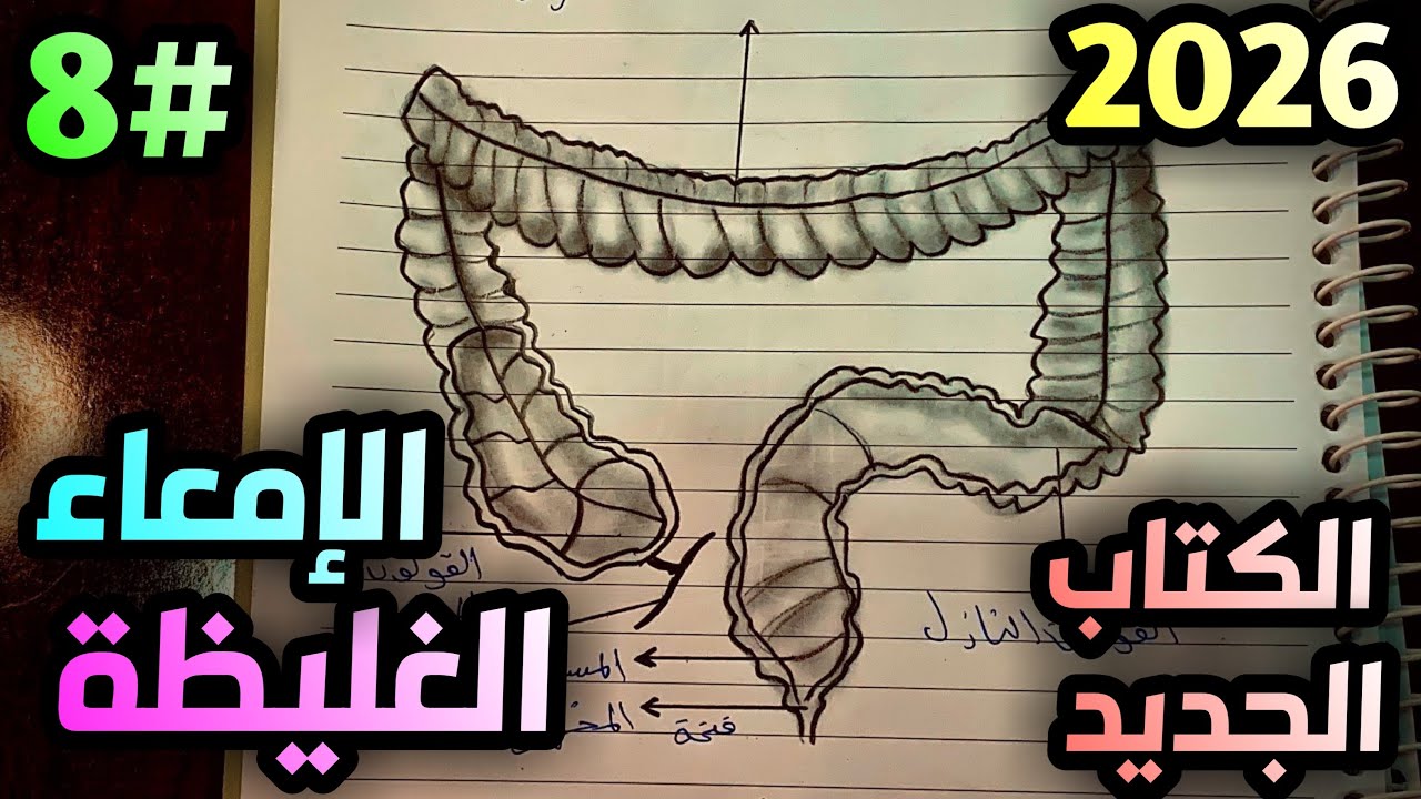 رسم الأمعاء الغليظه في الإنسان للصف الثالث متوسط 