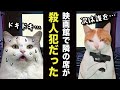 映画館の隣の席に連続殺人犯が座ったら…【漫才】【コント】 【猫アニメ】