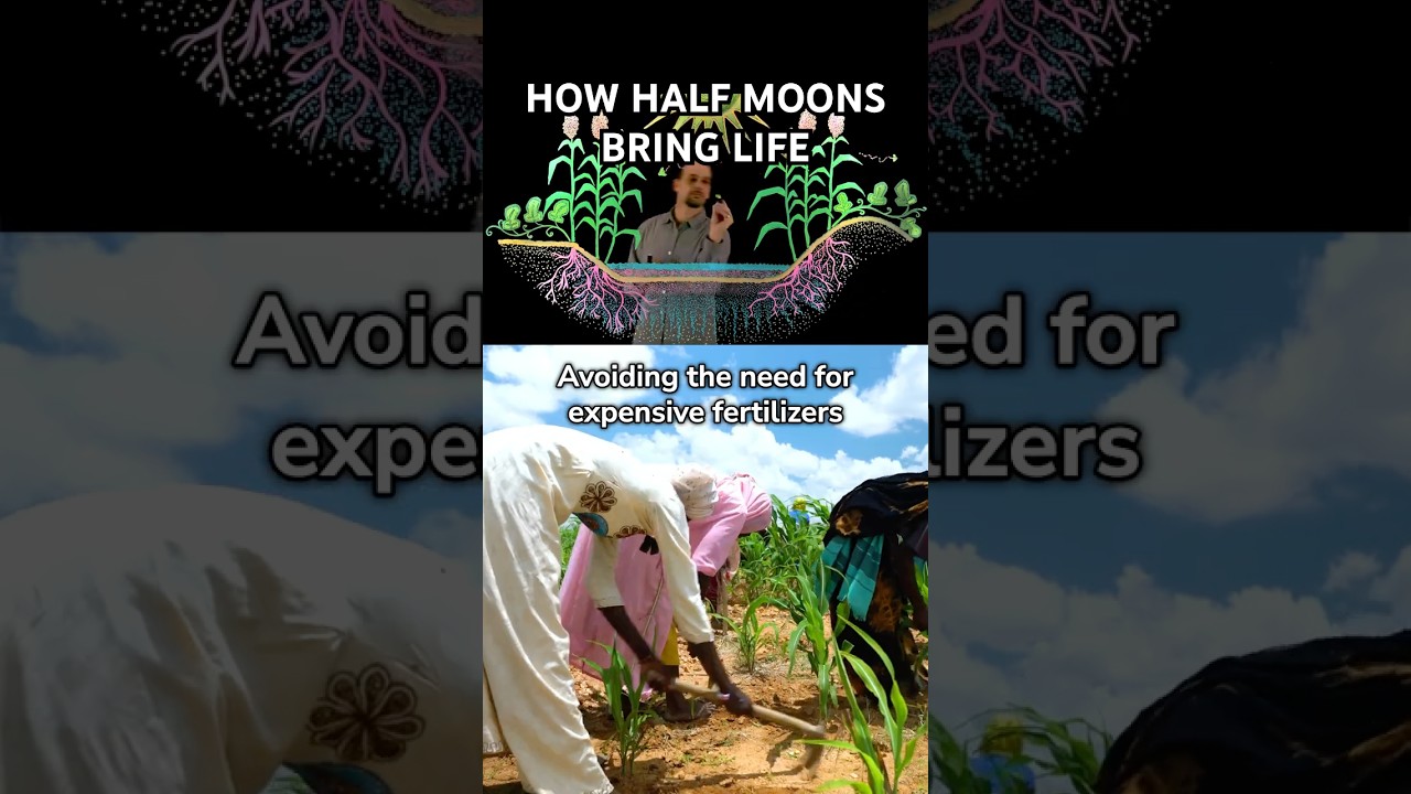 How Half Moons Bring Life