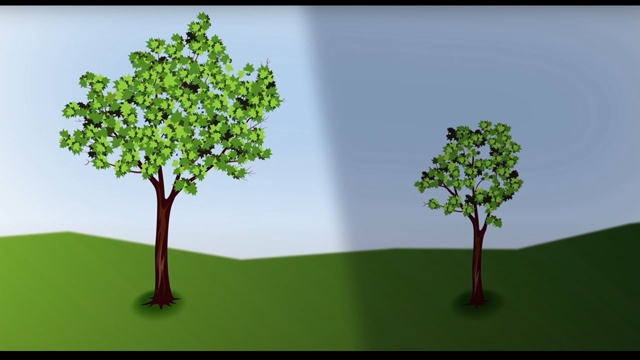 Living with Purpose and Real Intent - - YouTube