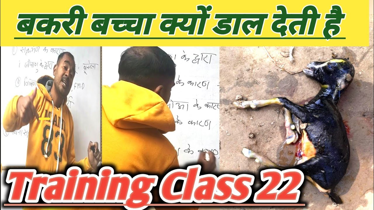 Traning Class 22|Bakri Baccha Kyu Dal Deti Hai |Vimalumrao Training |
