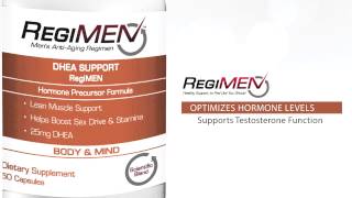 Dhea Support Regimen