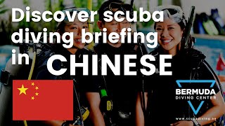 Chinese discover scuba diving training (DSD) try scuba diving | BERMUDA DIVING CENTER
