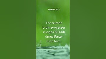Deep Brain Fact (4) The human brain processes images 60,000 times faster than text...