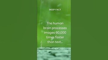 Deep Brain Fact (4) The human brain processes images 60,000 times faster than text...