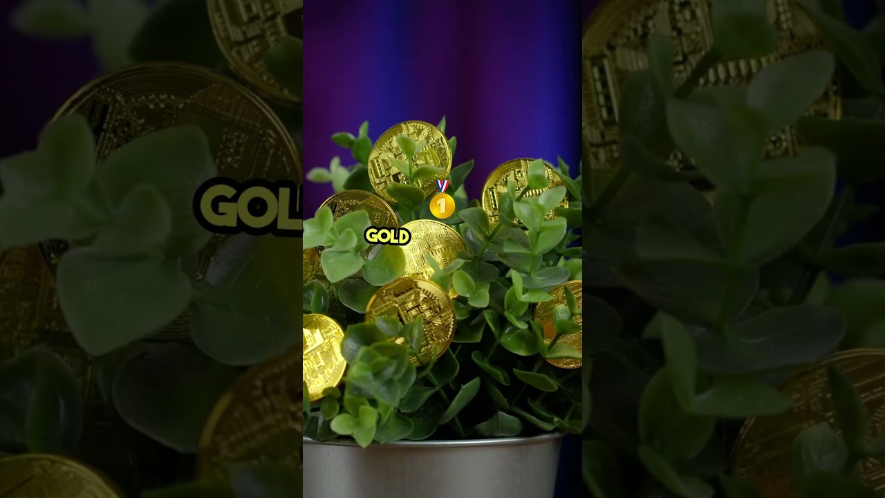 GLD vs Physical Gold: The Truth 