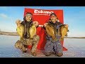 Catching MONSTER Bluegill Ice Fishing! (Incredible Day)