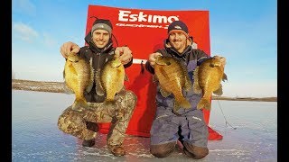 Catching MONSTER Bluegill Ice Fishing! (Incredible Day)