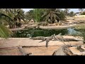 Farma krokodyli na Djerba Tunezja Djerba Explore Park