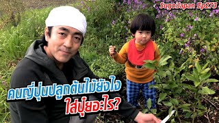 คนญี่ปุ่นปลูกต้นไม้ยังไง ใส่ปุ๋ยอะไร!! | SugoiJapan | Ep273