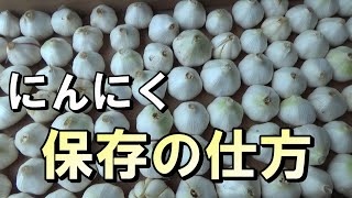 【自然農】　2022年5月25日　スカスカにならない「にんにく」保存の仕方【natural farming】