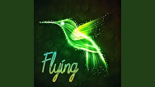 Flying - Sheyna