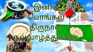 Happy Pongal To All