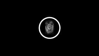 The Lion Code
