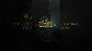 Сура 8 Аль-Анфаль (21-23) | Чтец: Ясир ад-Даусари