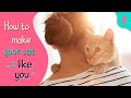 How to Make Your Cat Like You? | Furry Feline Facts