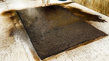 BRACE YOURSELF: This Carpet Color Change Will Surprise You - Deep Cleaning the Dirtiest Shaggy Rug