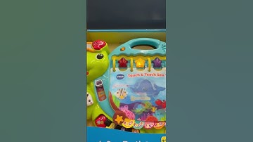 Touch & Teach Sea Turtle