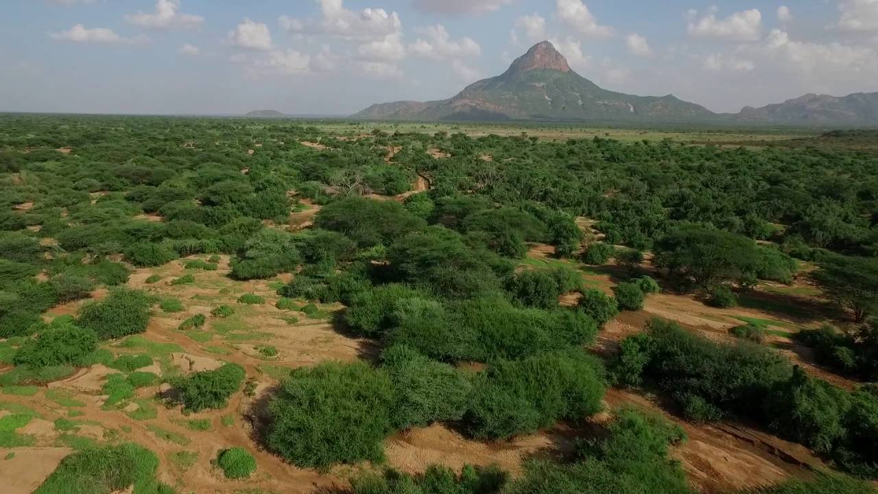 Northern Kenya: from the forest to the desert (short version)
