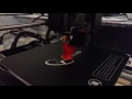 Wanhao/Gembird/Prusa i3 v2.1 3D printer - printing test file