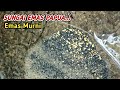 SUNGAI EMAS PAPUA || SUNGAI ALAMI BERISI BANYAK EMAS || TRADISIONAL GOLD PANNER