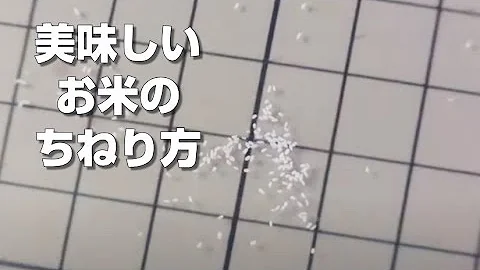 ミニチュアお米作り