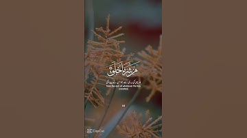 সূরা ফালাক : سورة الفلق #সূরা