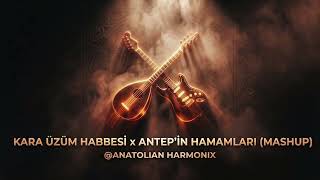 Kara Üzüm Habbesi & Antebin Hamamları (Mashup) - Anatolian Harmonix