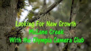 McLane Creek with the Olympia Camera Club
