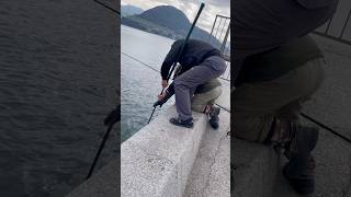 1月19日 Y田のおっさん大物を釣り上げる