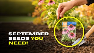 7 Perennials You Can Sow in Late September | Easy Seeds for Next Year’s Blooms