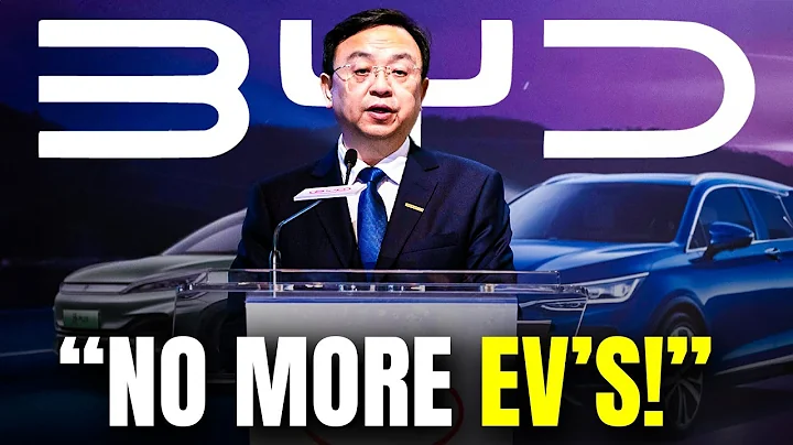 BYD CEO Shocking WARNING To All EV Makers - DayDayNews