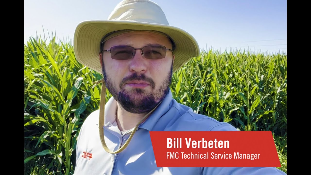Xyway Late-Season Corn Disease Check with Xyway® LFR® Fungicide - YouTube